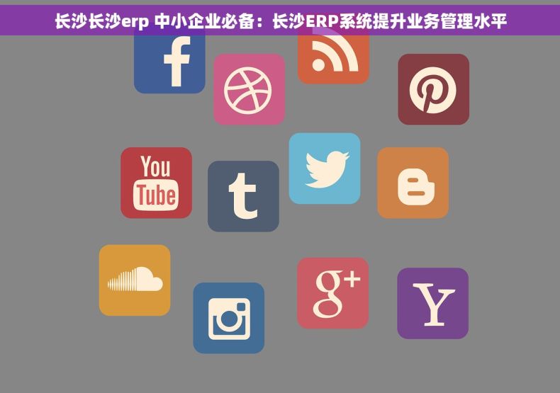 长沙长沙erp 中小企业必备：长沙ERP系统提升业务管理水平