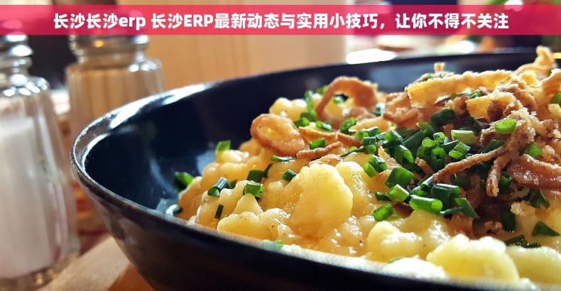 长沙长沙erp 长沙ERP最新动态与实用小技巧，让你不得不关注