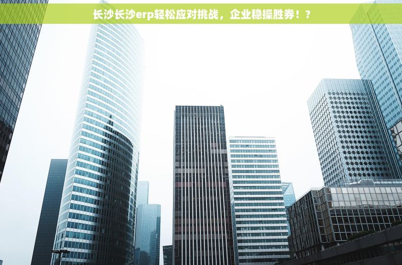 长沙长沙erp轻松应对挑战，企业稳操胜券！?