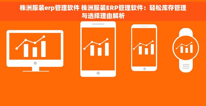 株洲服装erp管理软件 株洲服装ERP管理软件：轻松库存管理与选择理由解析