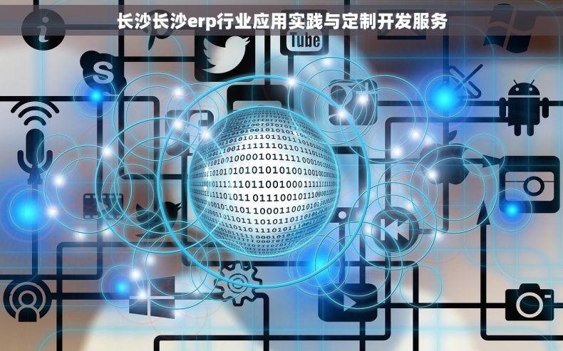 长沙长沙erp行业应用实践与定制开发服务