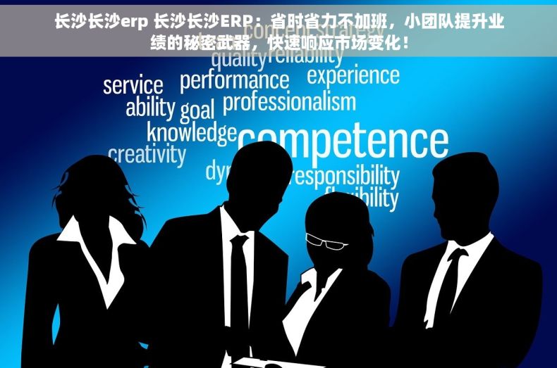长沙长沙erp 长沙长沙ERP：省时省力不加班，小团队提升业绩的秘密武器，快速响应市场变化！