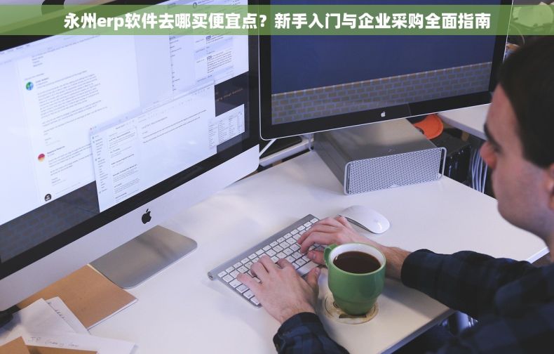 永州erp软件去哪买便宜点？新手入门与企业采购全面指南