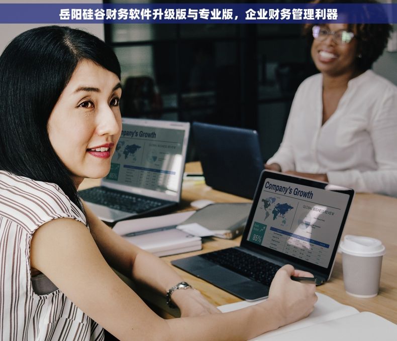 岳阳硅谷财务软件升级版与专业版，企业财务管理利器