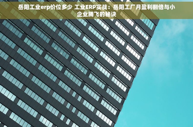 岳阳工业erp价位多少 工业ERP实战：岳阳工厂月盈利翻倍与小企业腾飞的秘诀