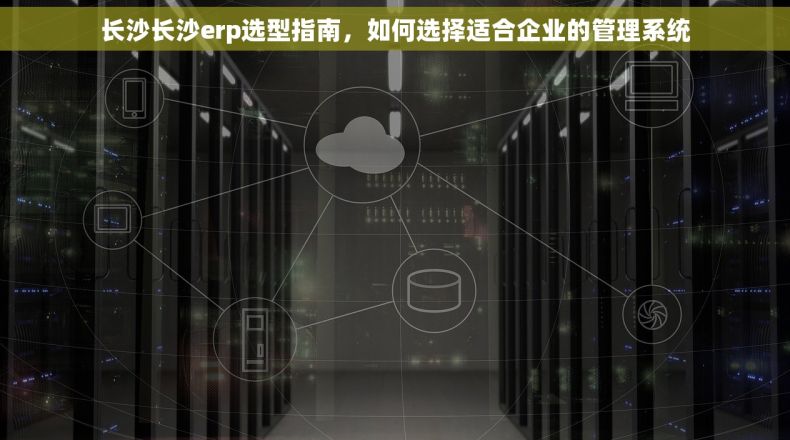 长沙长沙erp选型指南，如何选择适合企业的管理系统