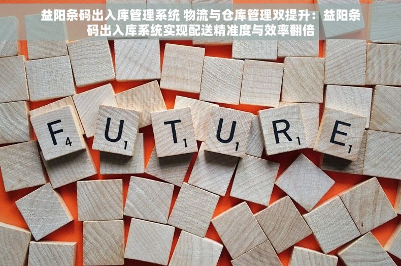 益阳条码出入库管理系统 物流与仓库管理双提升：益阳条码出入库系统实现配送精准度与效率翻倍