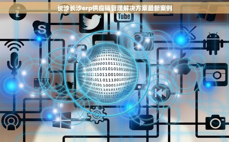 长沙长沙erp供应链管理解决方案最新案例