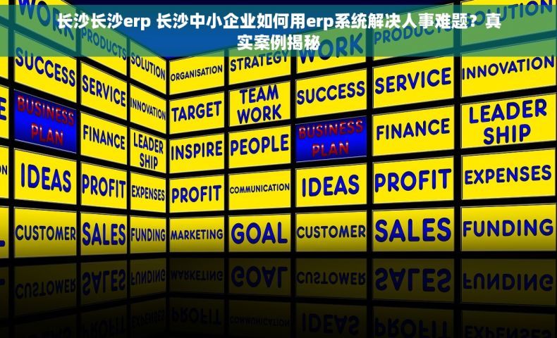 长沙长沙erp 长沙中小企业如何用erp系统解决人事难题？真实案例揭秘