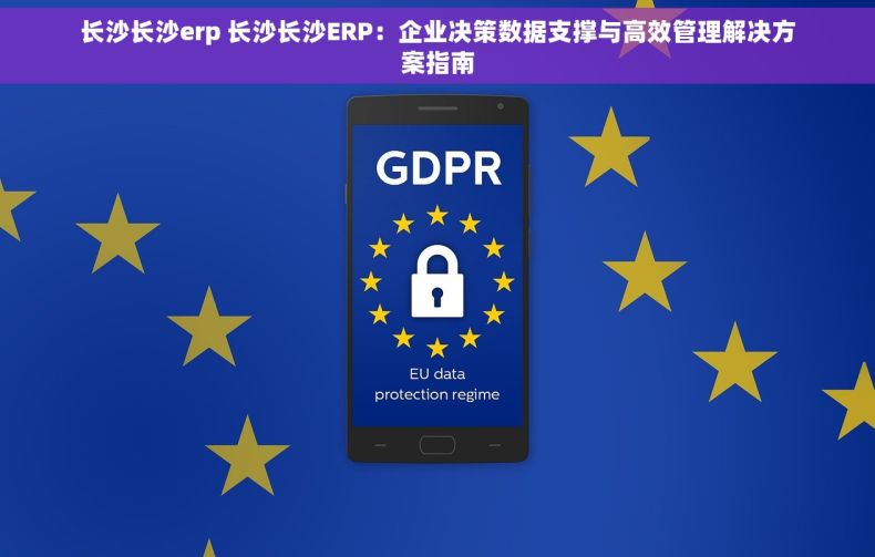 长沙长沙erp 长沙长沙ERP：企业决策数据支撑与高效管理解决方案指南