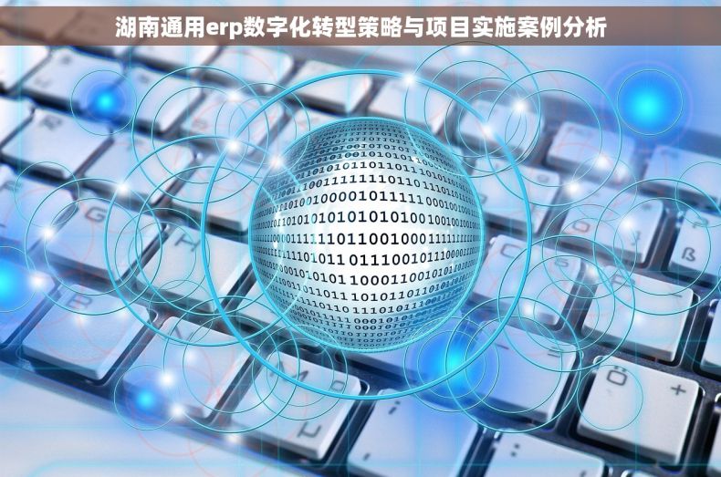 湖南通用erp数字化转型策略与项目实施案例分析