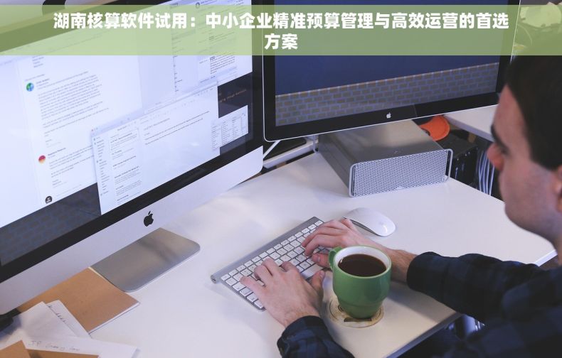 湖南核算软件试用：中小企业精准预算管理与高效运营的首选方案