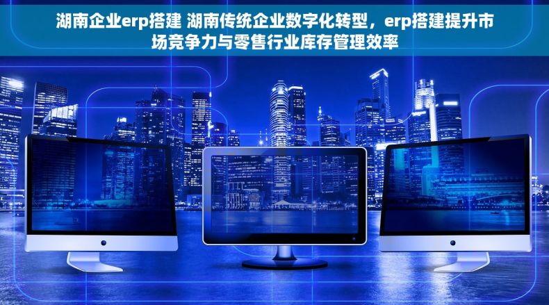 湖南企业erp搭建 湖南传统企业数字化转型，erp搭建提升市场竞争力与零售行业库存管理效率