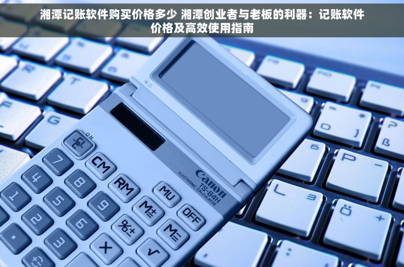 湘潭记账软件购买价格多少 湘潭创业者与老板的利器：记账软件价格及高效使用指南