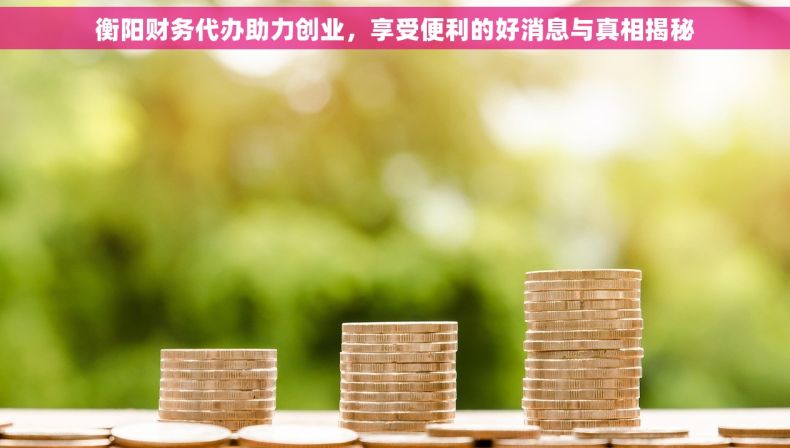 衡阳财务代办助力创业，享受便利的好消息与真相揭秘