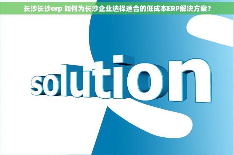 长沙长沙erp 如何为长沙企业选择适合的低成本ERP解决方案？
