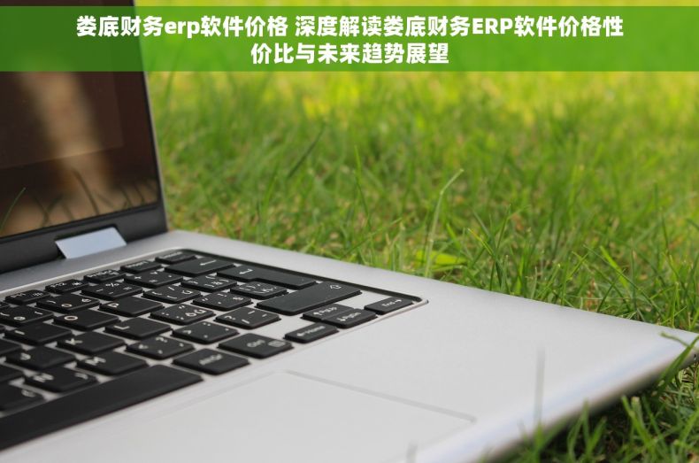 娄底财务erp软件价格 深度解读娄底财务ERP软件价格性价比与未来趋势展望