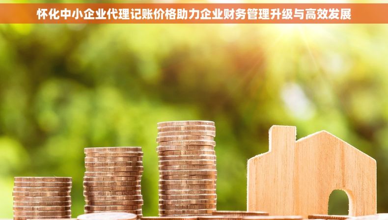 怀化中小企业代理记账价格助力企业财务管理升级与高效发展