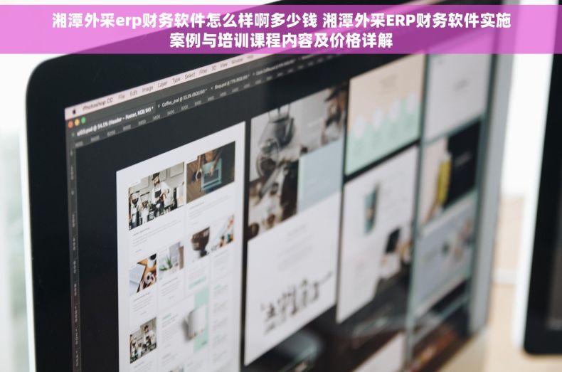 湘潭外采erp财务软件怎么样啊多少钱 湘潭外采ERP财务软件实施案例与培训课程内容及价格详解