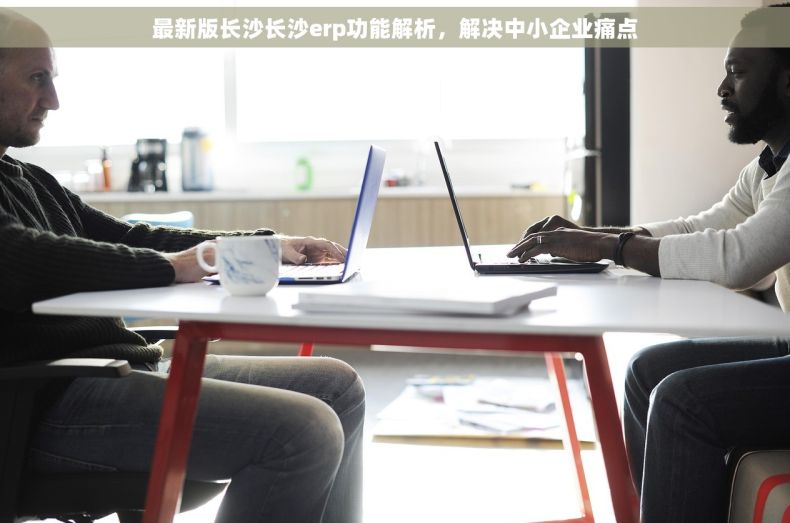 最新版长沙长沙erp功能解析，解决中小企业痛点