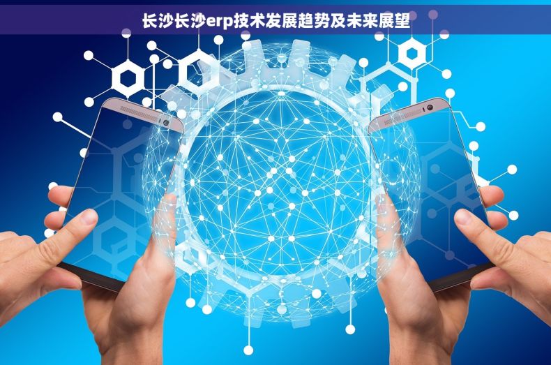 长沙长沙erp技术发展趋势及未来展望