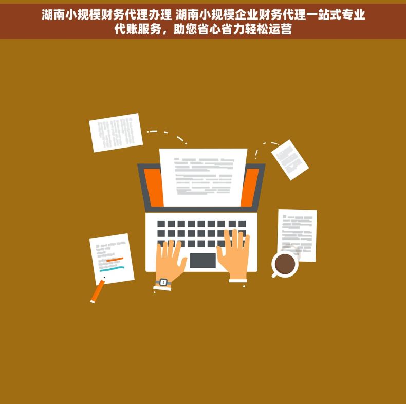 湖南小规模财务代理办理 湖南小规模企业财务代理一站式专业代账服务，助您省心省力轻松运营