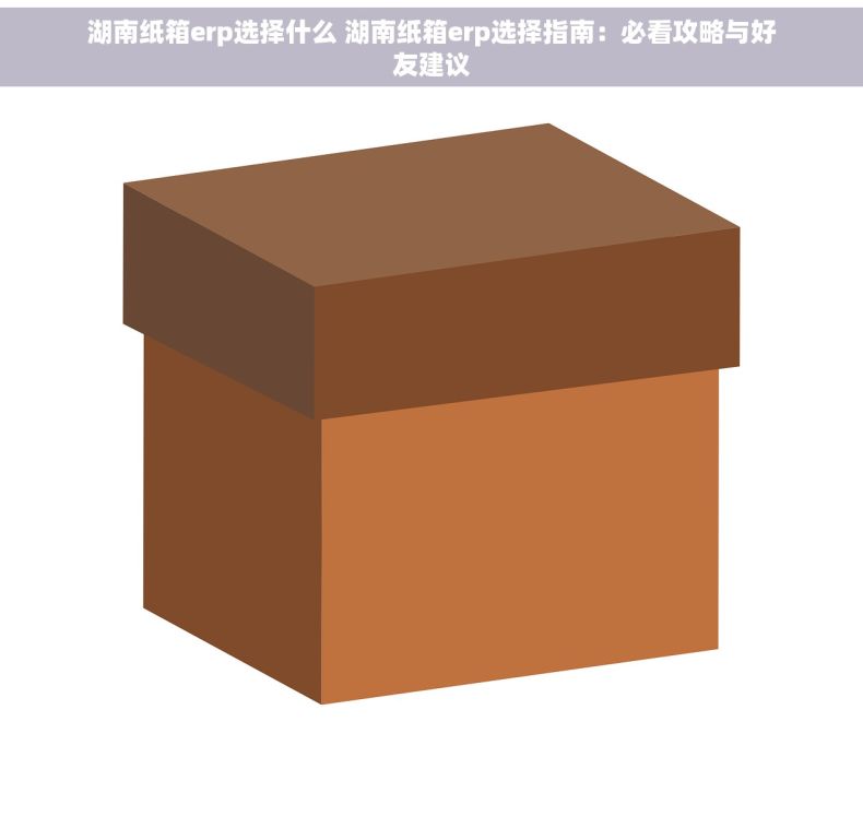 湖南纸箱erp选择什么 湖南纸箱erp选择指南：必看攻略与好友建议
