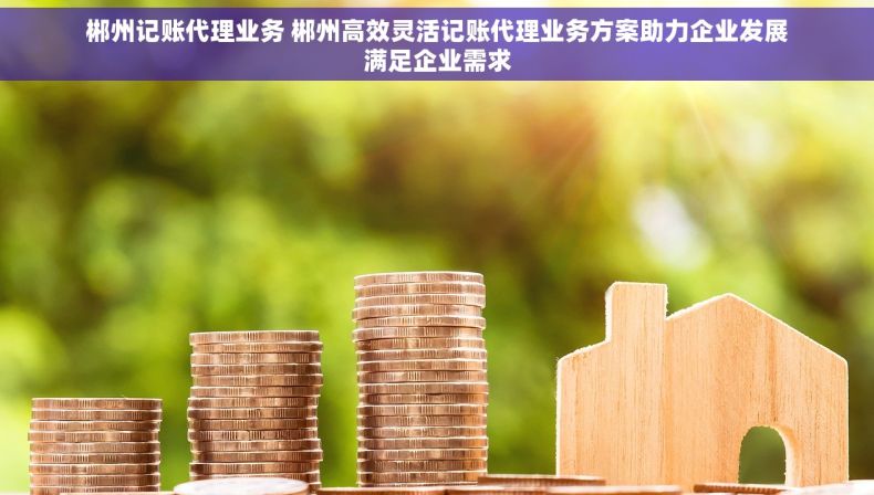 郴州记账代理业务 郴州高效灵活记账代理业务方案助力企业发展满足企业需求