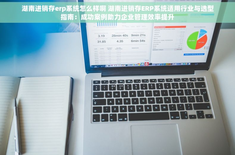 湖南进销存erp系统怎么样啊 湖南进销存ERP系统适用行业与选型指南：成功案例助力企业管理效率提升