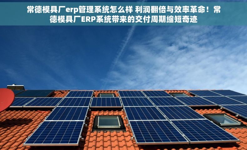 常德模具厂erp管理系统怎么样 利润翻倍与效率革命！常德模具厂ERP系统带来的交付周期缩短奇迹