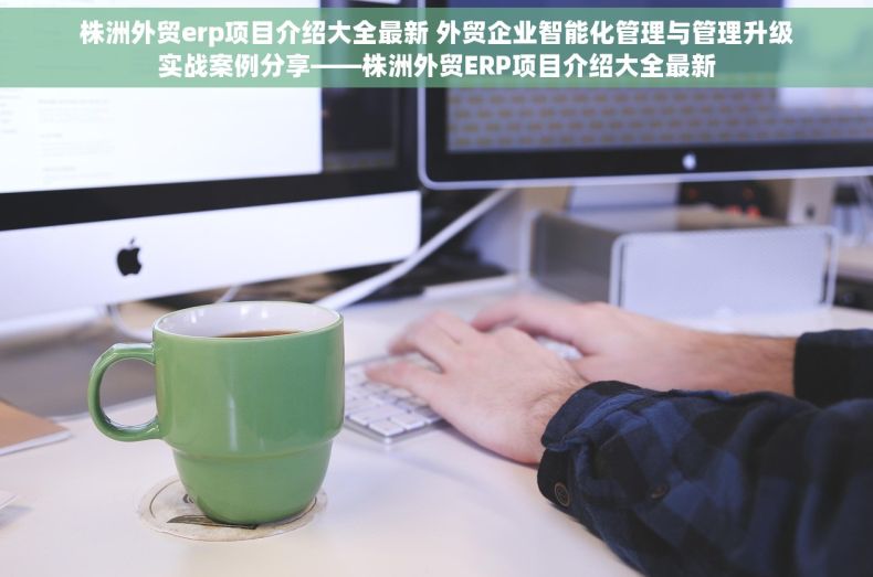 株洲外贸erp项目介绍大全最新 外贸企业智能化管理与管理升级实战案例分享——株洲外贸ERP项目介绍大全最新