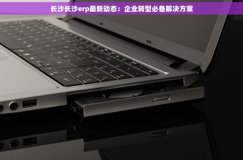 长沙长沙erp最新动态：企业转型必备解决方案
