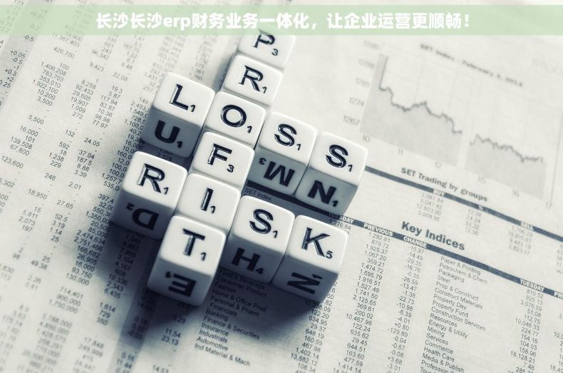 长沙长沙erp财务业务一体化，让企业运营更顺畅！