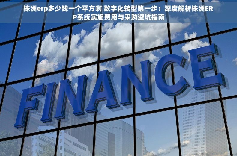 株洲erp多少钱一个平方啊 数字化转型第一步：深度解析株洲ERP系统实施费用与采购避坑指南