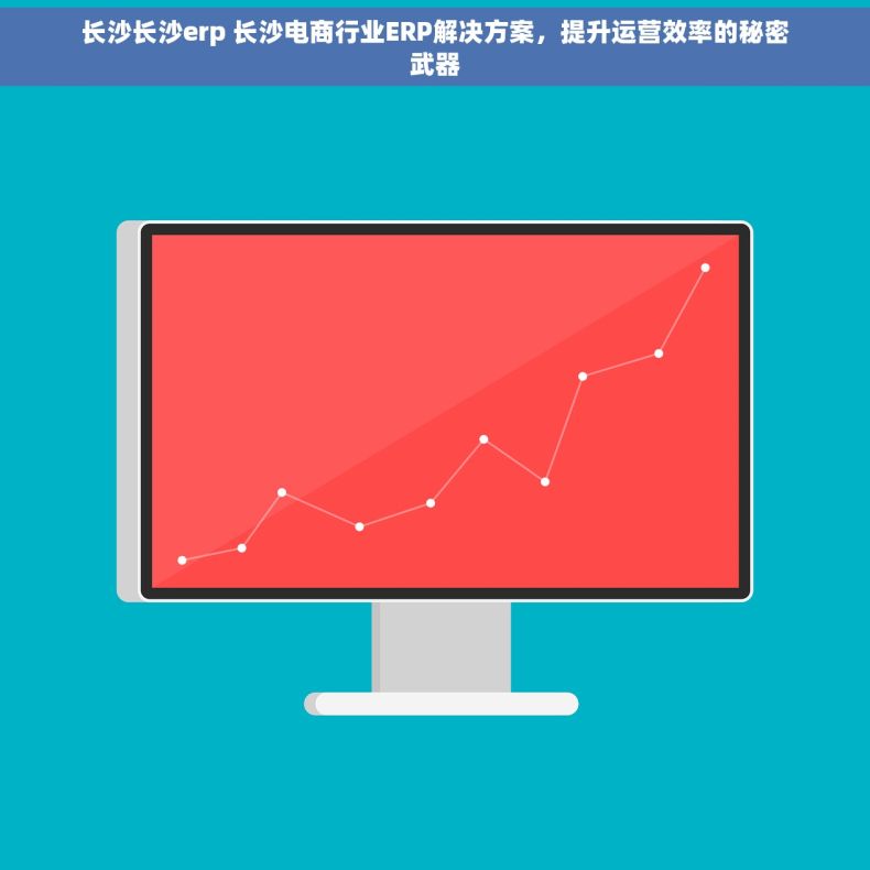 长沙长沙erp 长沙电商行业ERP解决方案，提升运营效率的秘密武器