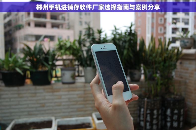 郴州手机进销存软件厂家选择指南与案例分享