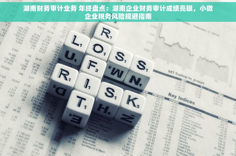 湖南财务审计业务 年终盘点：湖南企业财务审计成绩亮眼，小微企业税务风险规避指南