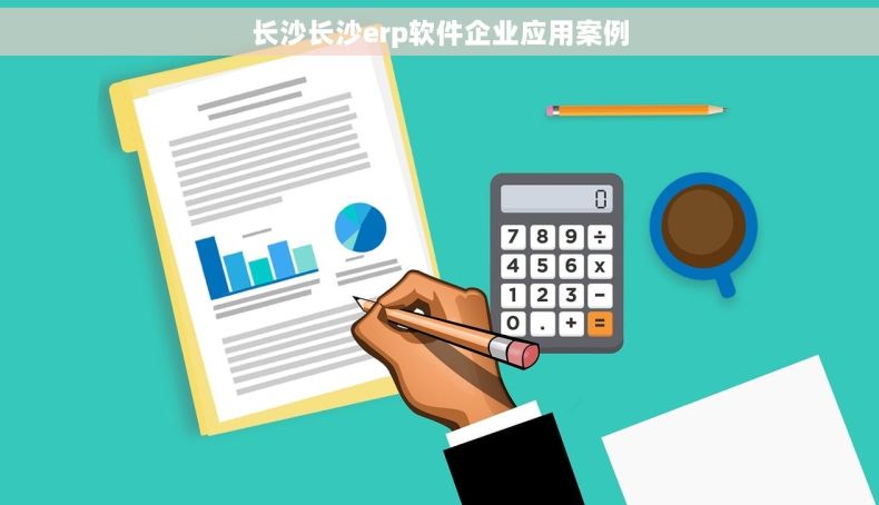 长沙长沙erp软件企业应用案例