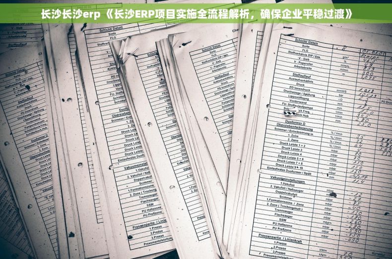 长沙长沙erp 《长沙ERP项目实施全流程解析，确保企业平稳过渡》