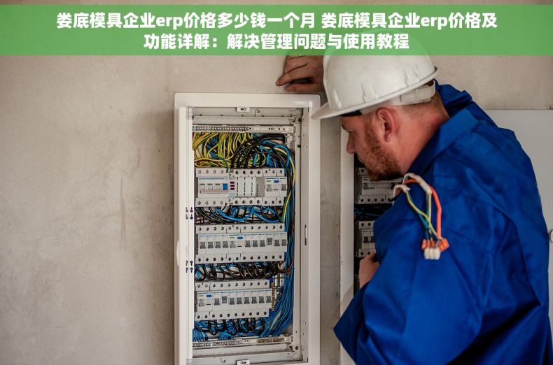 娄底模具企业erp价格多少钱一个月 娄底模具企业erp价格及功能详解：解决管理问题与使用教程