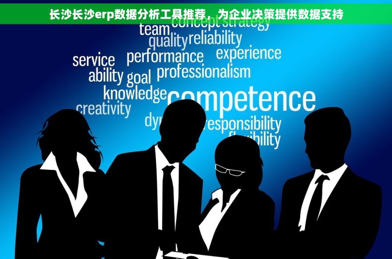 长沙长沙erp数据分析工具推荐，为企业决策提供数据支持