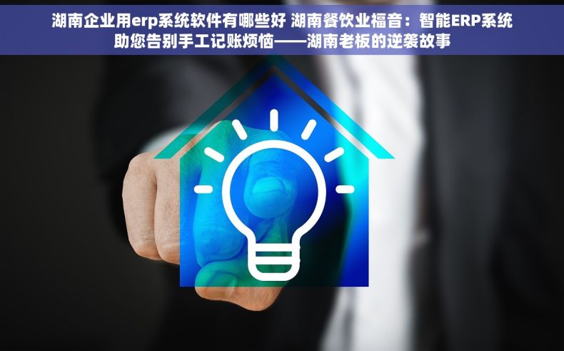 湖南企业用erp系统软件有哪些好 湖南餐饮业福音：智能ERP系统助您告别手工记账烦恼——湖南老板的逆袭故事