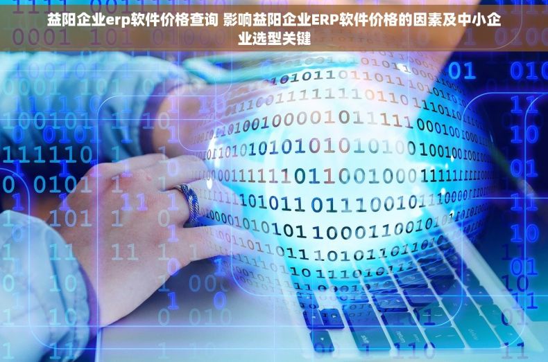 益阳企业erp软件价格查询 影响益阳企业ERP软件价格的因素及中小企业选型关键