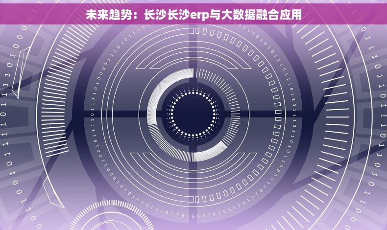 未来趋势：长沙长沙erp与大数据融合应用