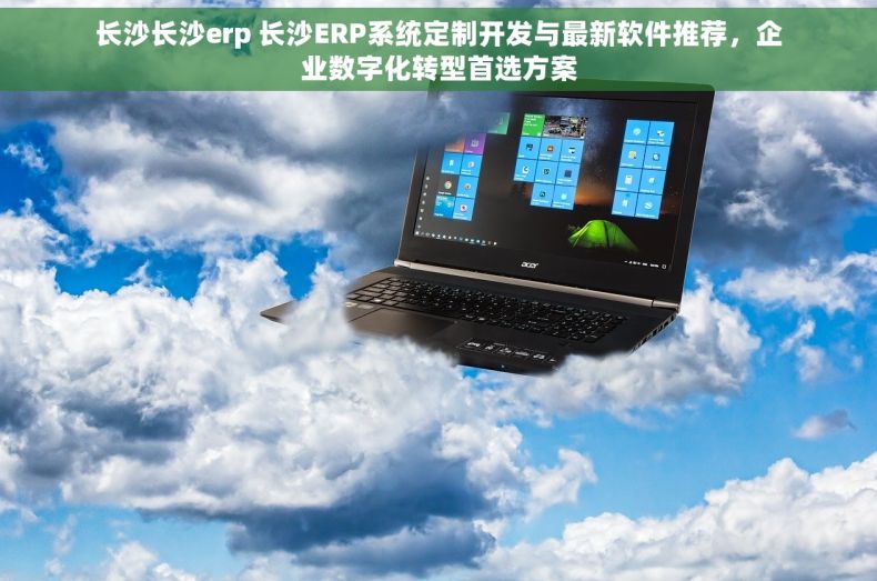 长沙长沙erp 长沙ERP系统定制开发与最新软件推荐，企业数字化转型首选方案