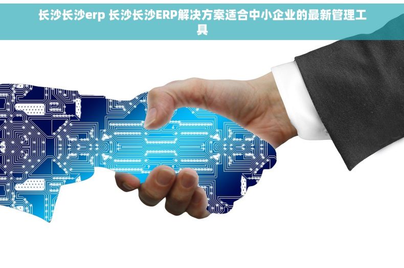 长沙长沙erp 长沙长沙ERP解决方案适合中小企业的最新管理工具