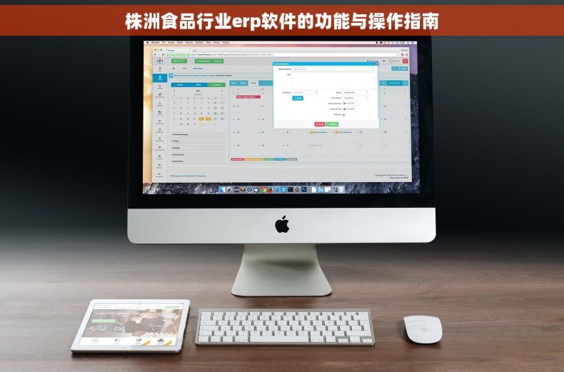 株洲食品行业erp软件的功能与操作指南