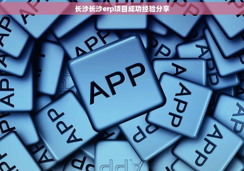 长沙长沙erp项目成功经验分享