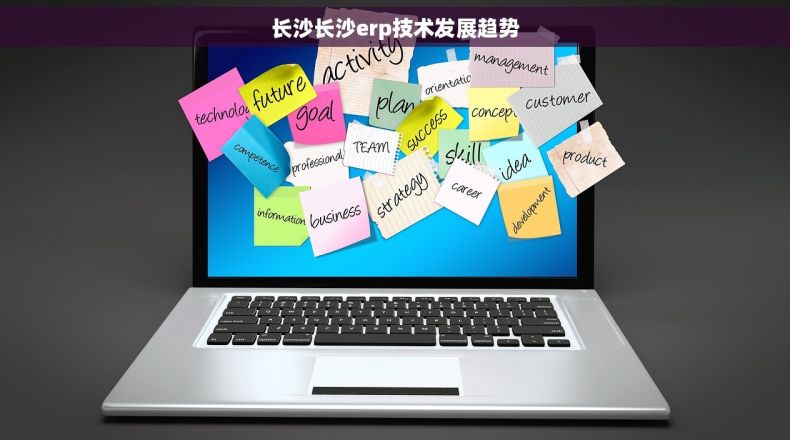 长沙长沙erp技术发展趋势
