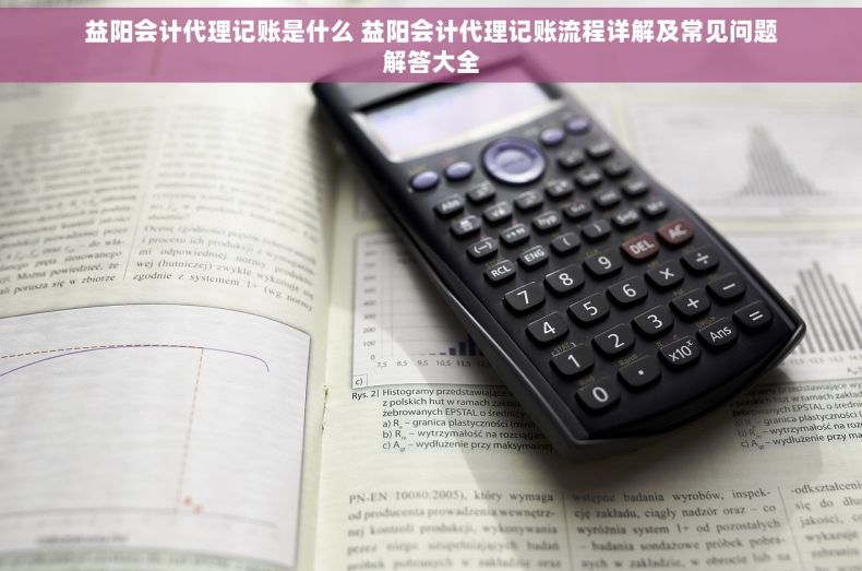 益阳会计代理记账是什么 益阳会计代理记账流程详解及常见问题解答大全